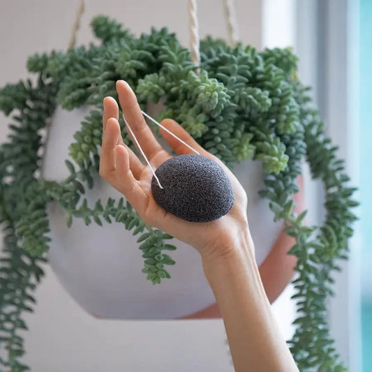 Konjac Facial Sponge - Charcoal - Ecoesse 
