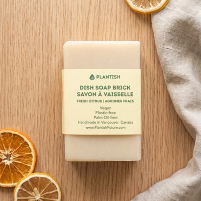 Fresh Citrus - Solid Dish Soap Brick