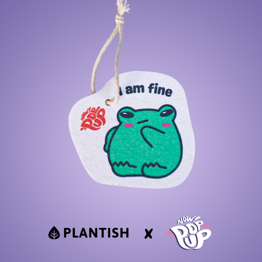 Cringing Frog Chronicles - Now Pop Up - Ecoesse 