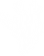Kelp Planted