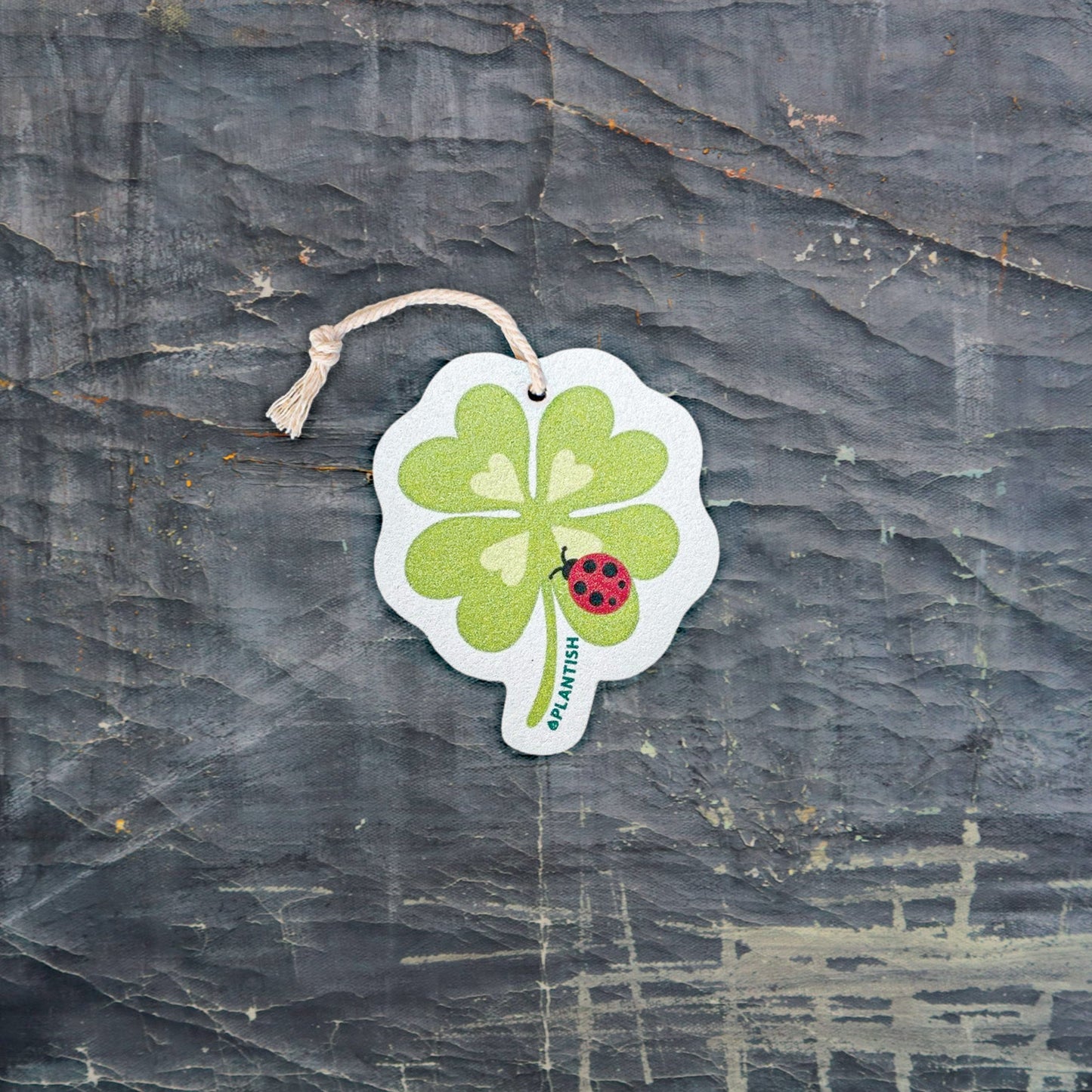 Lucky Spot - Pop Up Sponge