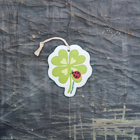 Lucky Spot - Pop Up Sponge