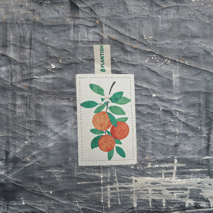 Orange - NEW Eco Sponge - Ecoesse 