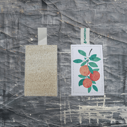 Orange - NEW Eco Sponge - Ecoesse 