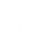 Bees Protected