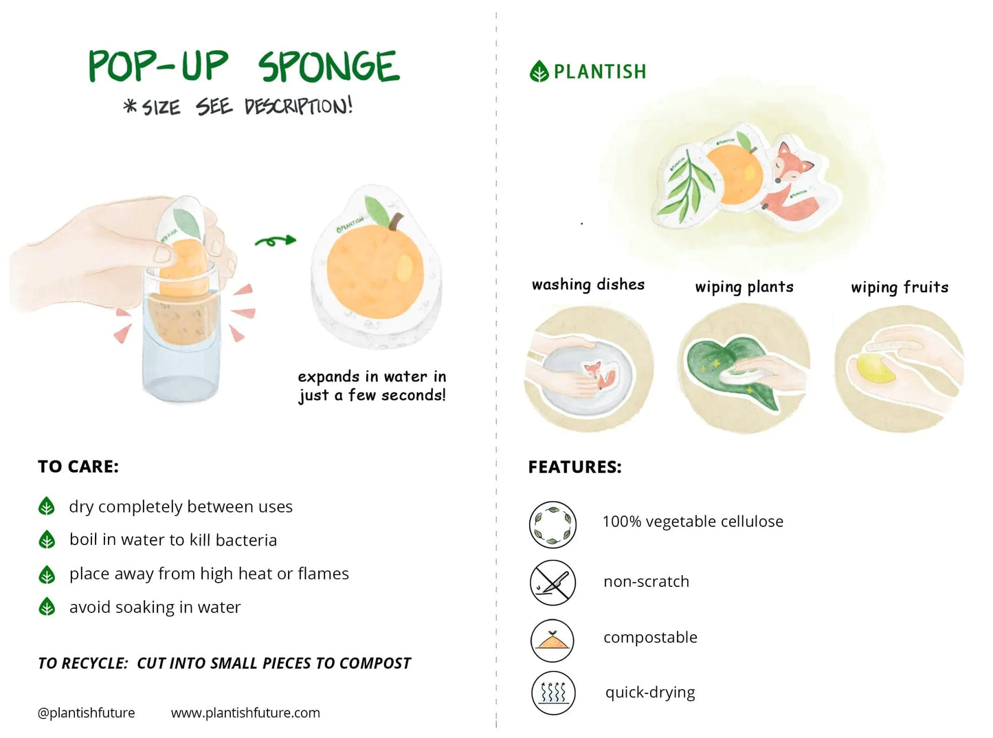 Peach - Pop up Sponge - Ecoesse 