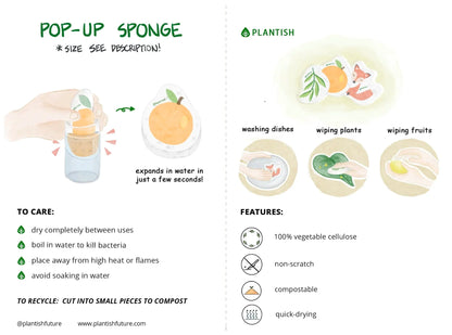 Peach - Pop up Sponge - Ecoesse 