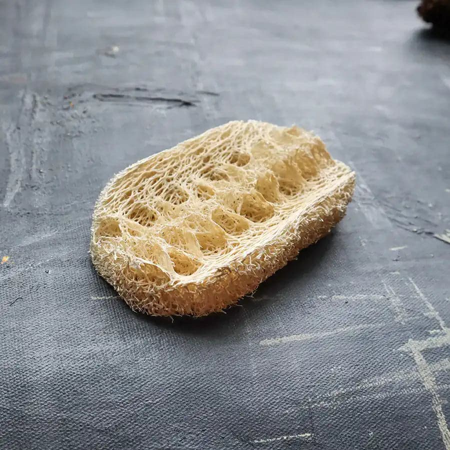 Loofah Dishwashing Sponge - Ecoesse 