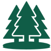 Tree Reforestation