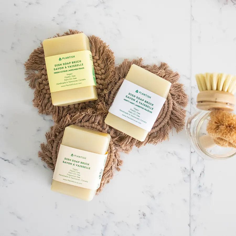 Fresh Citrus - Solid Dish Soap Brick - Ecovie