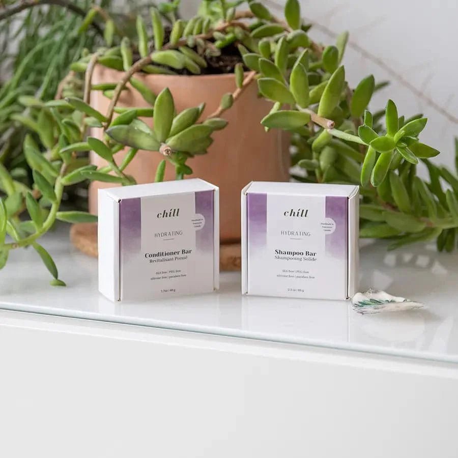 Hydrating Shampoo and Conditioner Bar Set - Ecovie