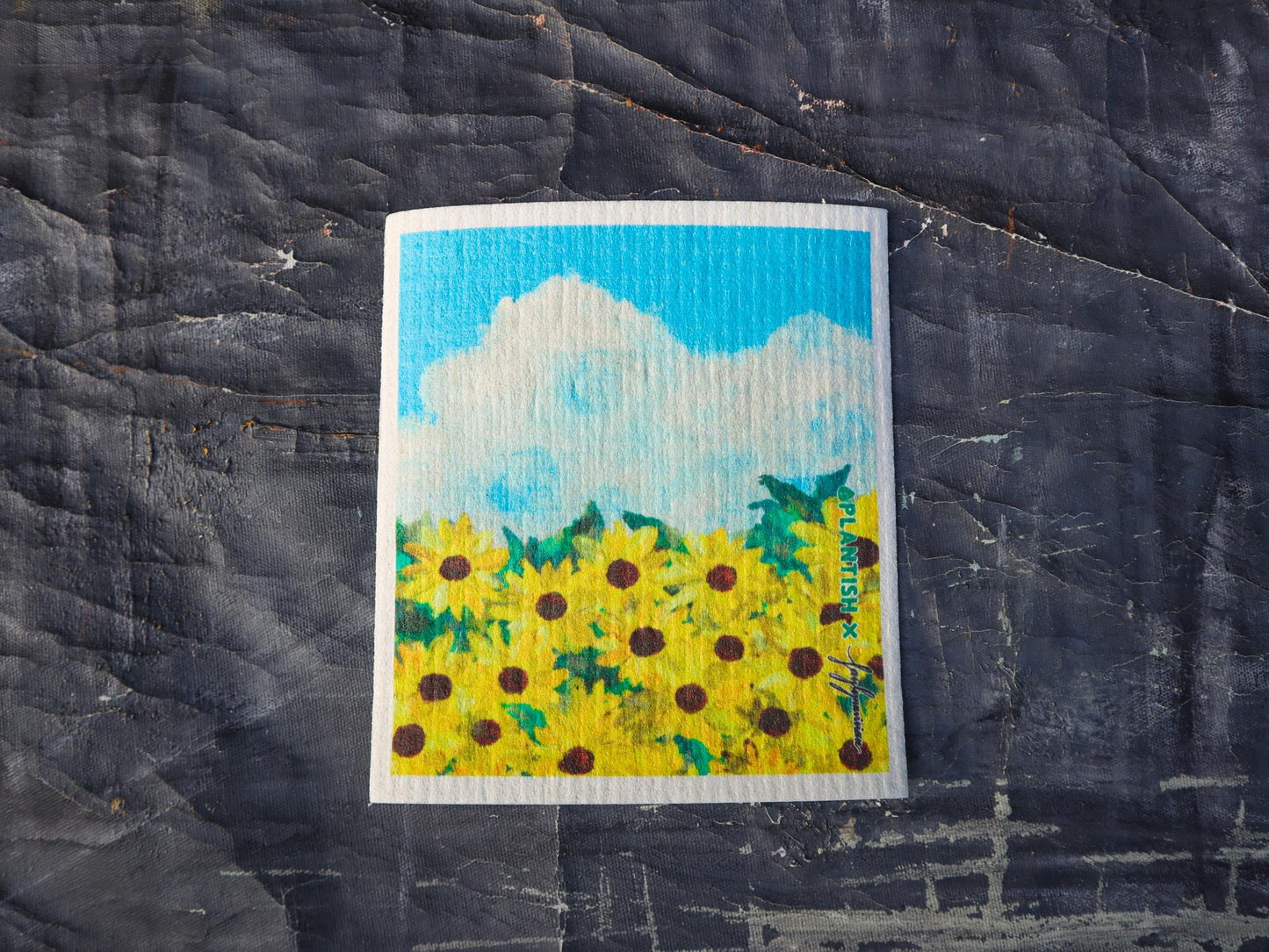 Picturesque Artistry - Swedish Sponge Cloth Set - Ecoesse 