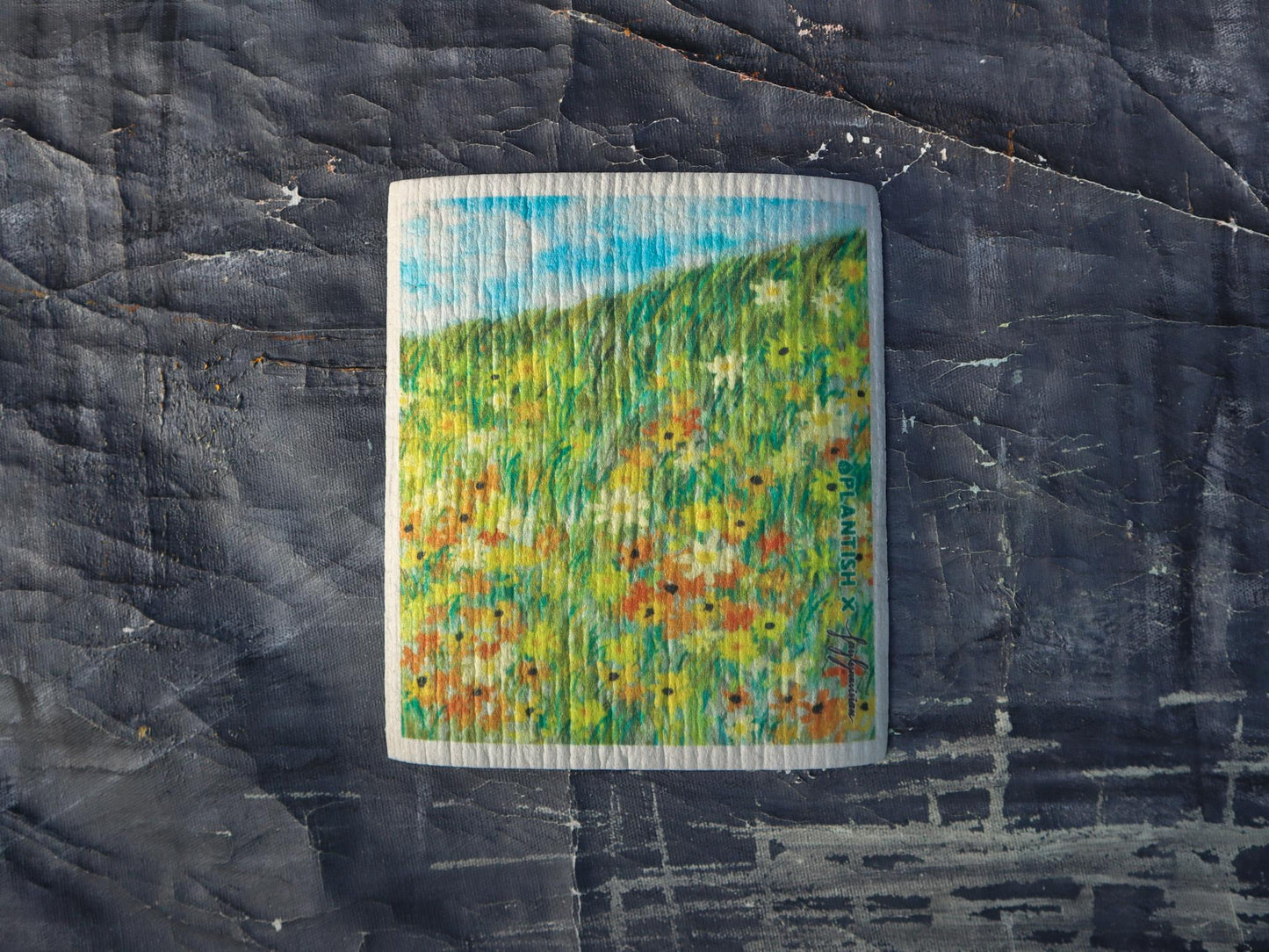 Picturesque Artistry - Swedish Sponge Cloth Set - Ecoesse 