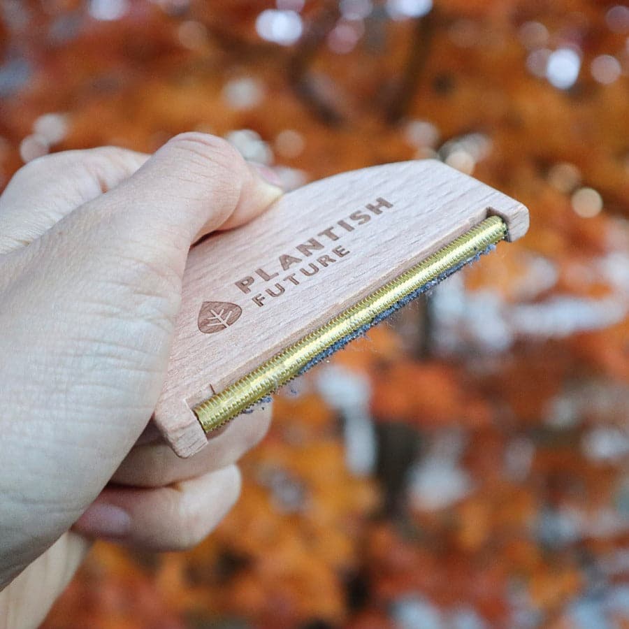 Hand holding a wooden tool with 'Plantish Future' branding against an autumn leaf background
