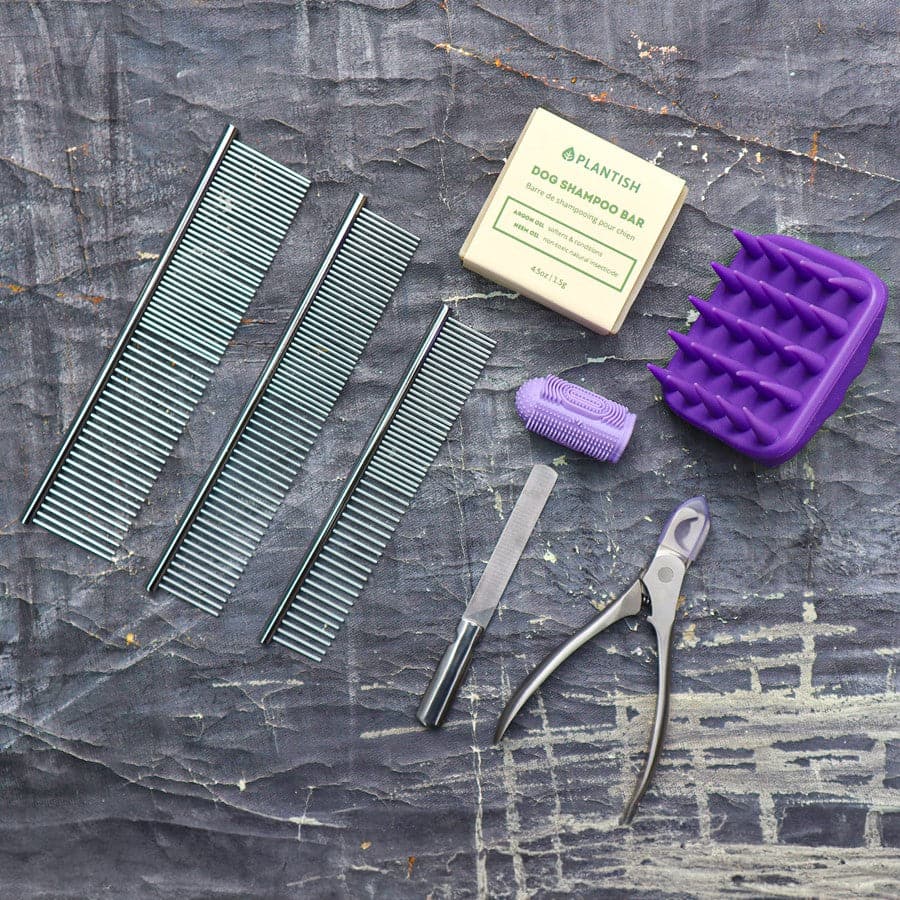 Pet grooming tools including combs, a brush, and nail clippers on a textured surface.