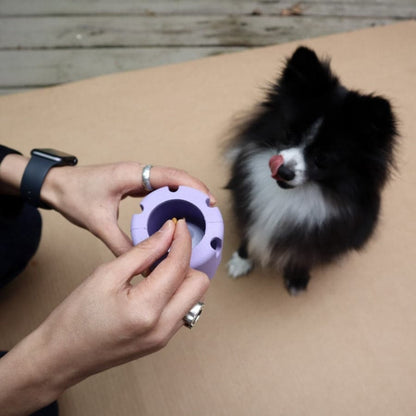 Person holding a purple pet toy next to a small black and white dog on a wooden deck.