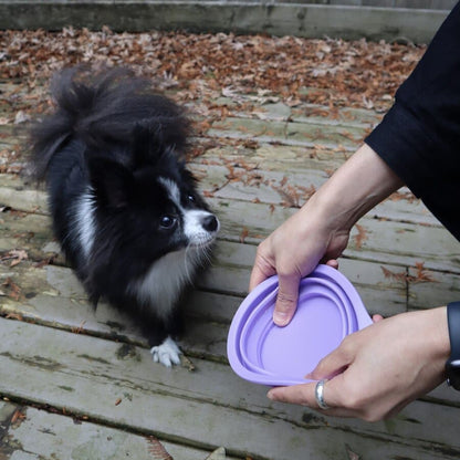 Person holding a purple silicone lid next to a small black and white dog on a wooden deck.