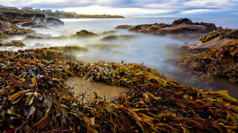 Turning the Tide on Plastic