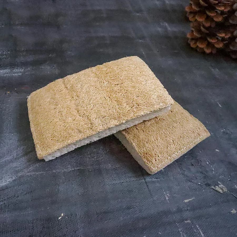 Eco Sponge - Ecoesse