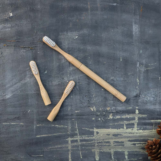 Refillable Bamboo Toothbrush (Canada Only) - Ecoesse 