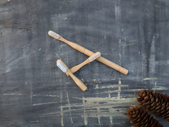 Refillable Bamboo Toothbrush (Canada Only) - Ecoesse 