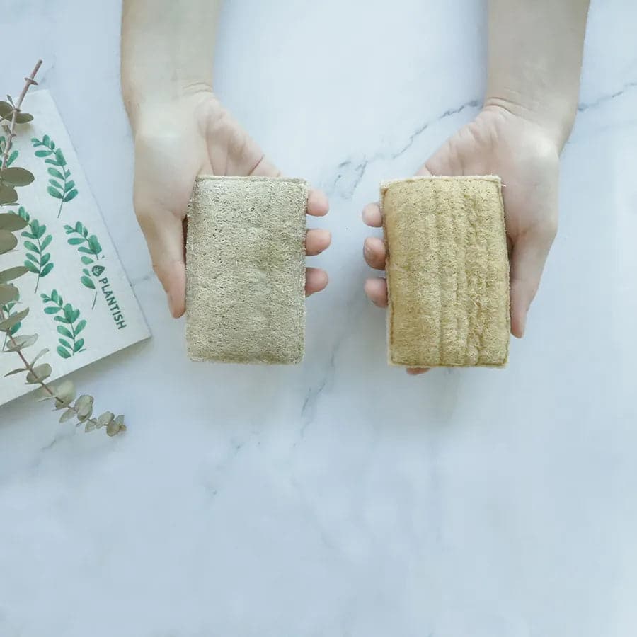Orange - NEW Eco Sponge - Ecoesse 