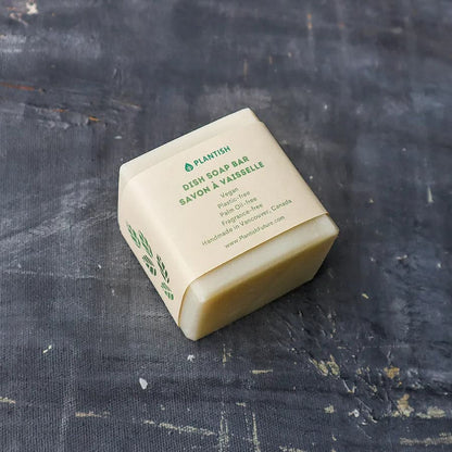 Solid Dish Soap Bar - Ecoesse 