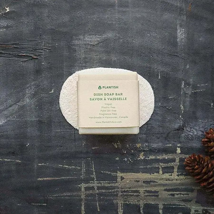 Solid Dish Soap Bar - Ecoesse 