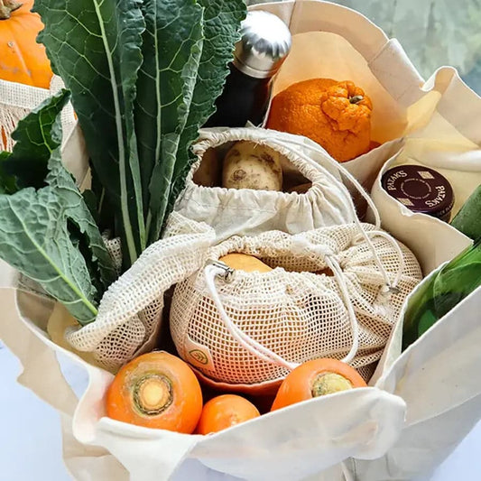 The Eco Travel & Wellness Bundle - Ecovie