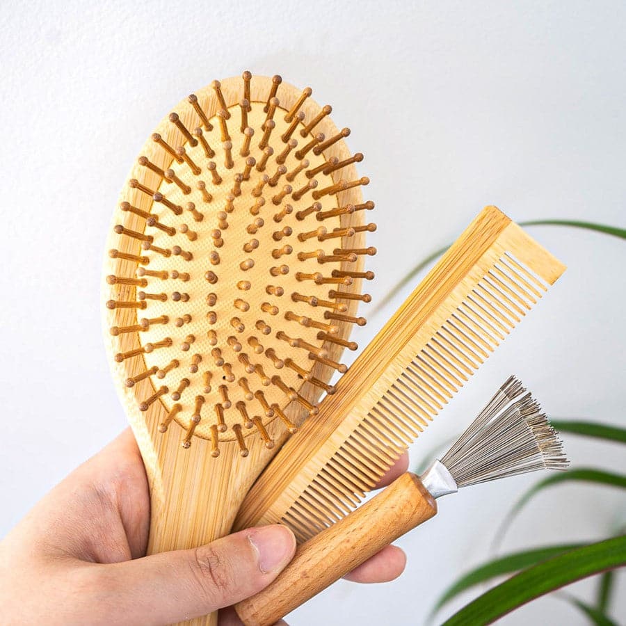 The Natural Renewal Essentials Set - Ecovie