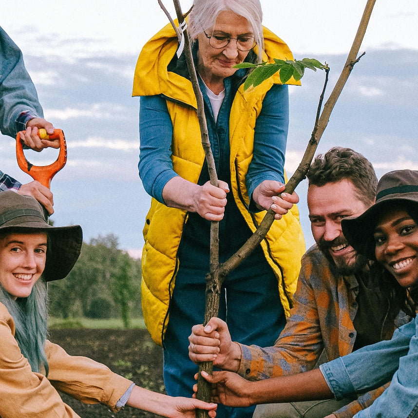 Group of people planting a tree together outdoors