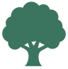 Plants one tree in Ontario, plants one mangrove in Kenya,