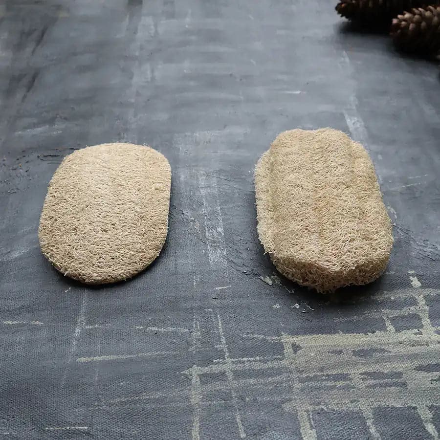 Loofah Dishwashing Sponge - Ecoesse 