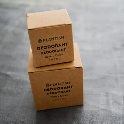 Zero Waste Deodorant Bar - Unscented - Ecoesse 