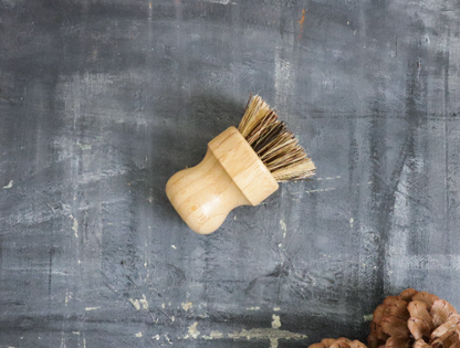 Zero Waste Kitchen Brush Set - Handy Kit - Ecoesse 